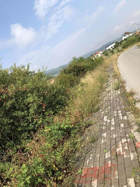 Punëtorët tanë të NPL "Ambienti" Sh.A po vazhdojnë me përkushtim të kujdesen për hapësirat publike