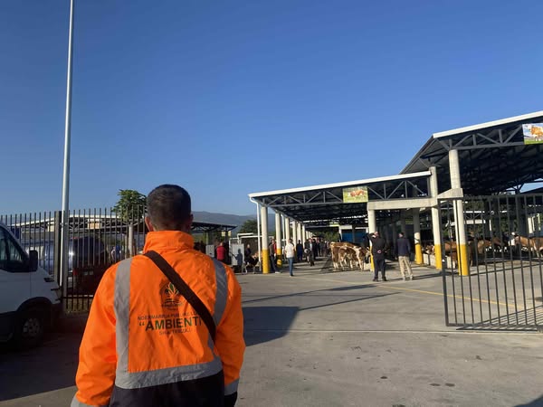 SHITBLERJE NË TREGUN E KAFSHËVE NË FERIZAJ